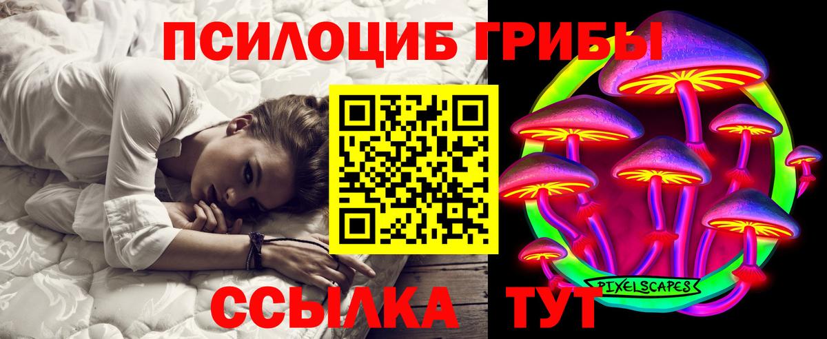 Сальск  наркота  Вход с VPN  Галлюциногенные грибы Cubensis 