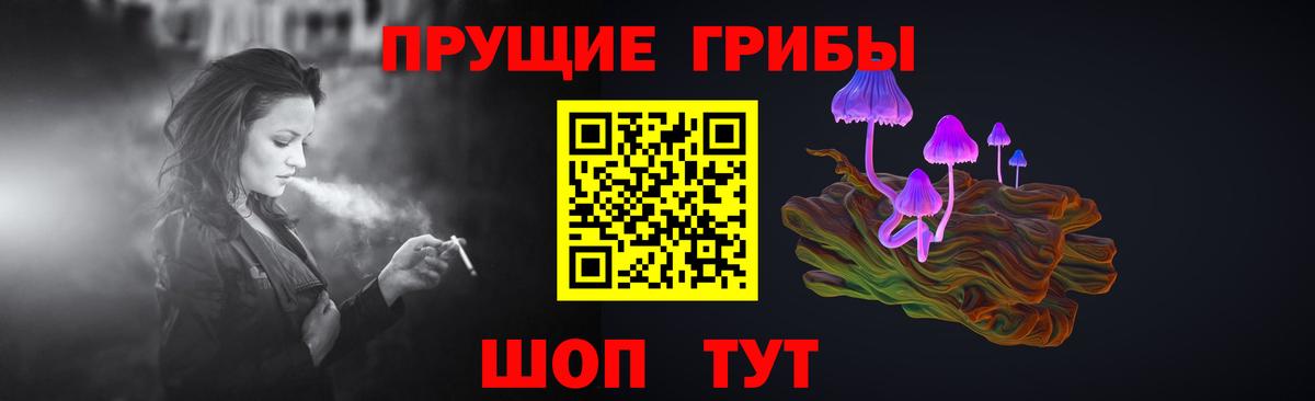 Псилоцибиновые грибы прущие грибы Сальск